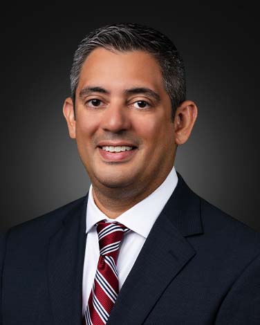 prof ibarra